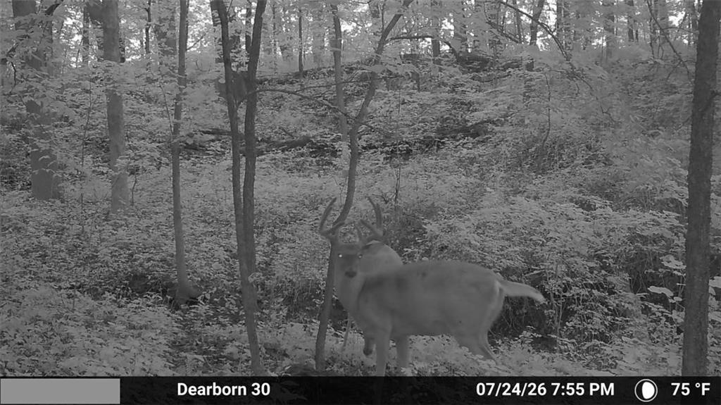 8005 Se State 116 Highway Property Photo 14