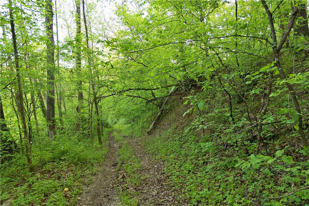 8005 Se State 116 Highway Property Photo 40
