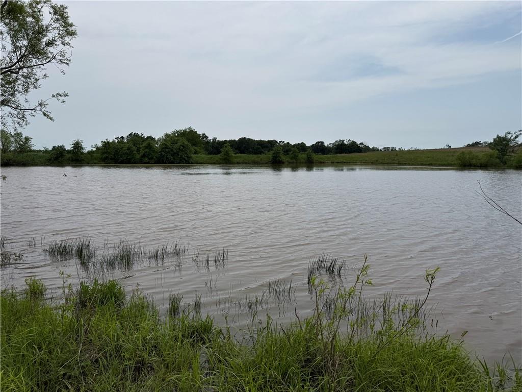 Y Highway Property Photo 4
