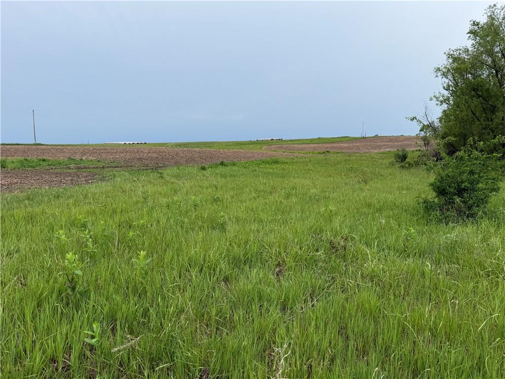Y Highway Property Photo 6