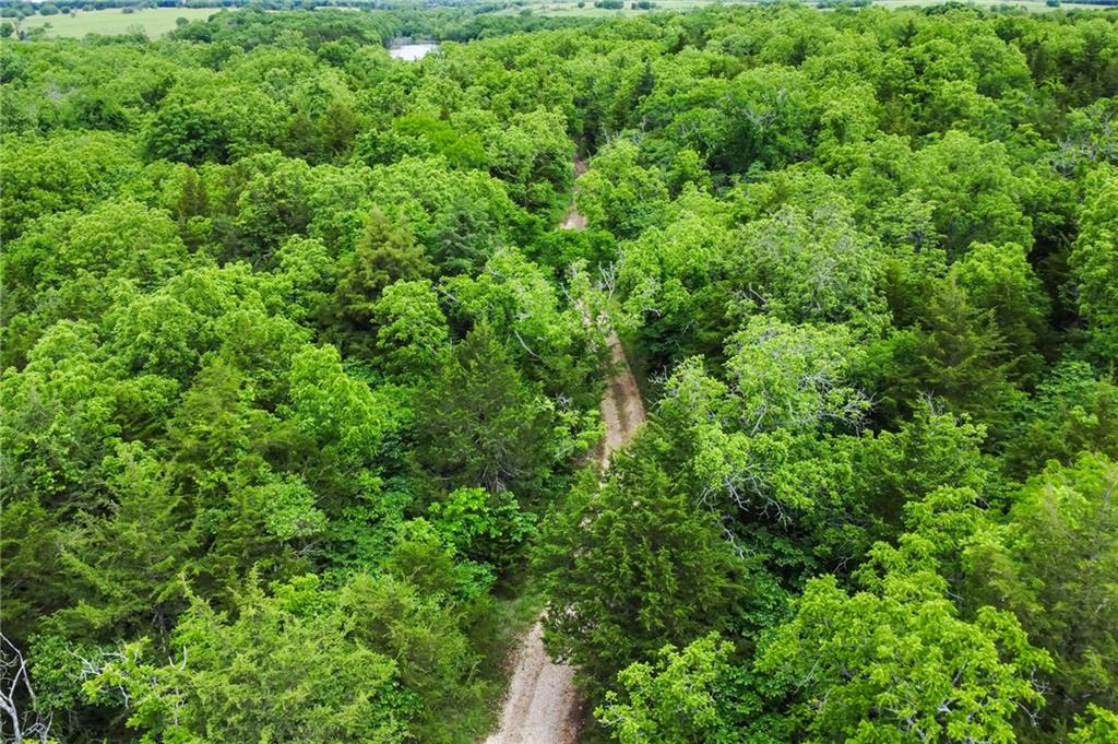4345 Douglas Road Property Photo 15