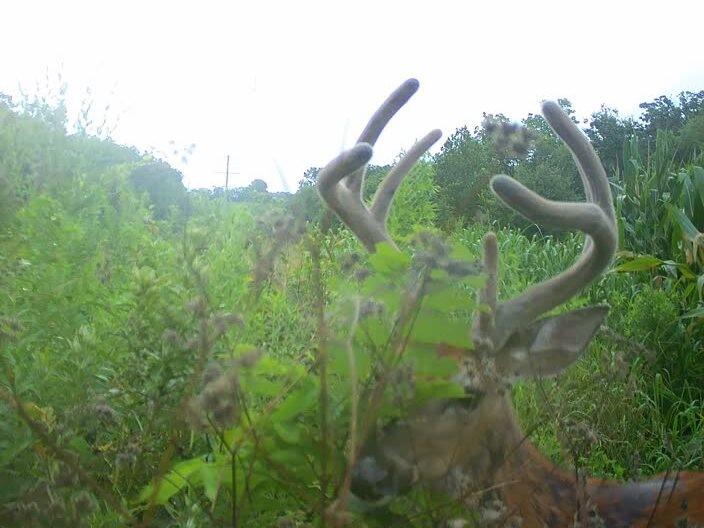 Tbd Oo Highway Property Photo 20