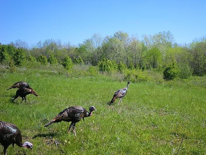 Tbd Oo Highway Property Photo 21