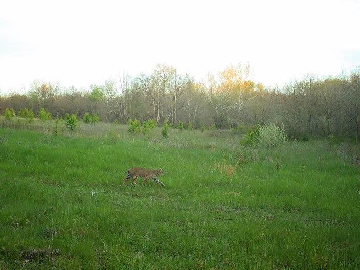 Tbd Oo Highway Property Photo 26