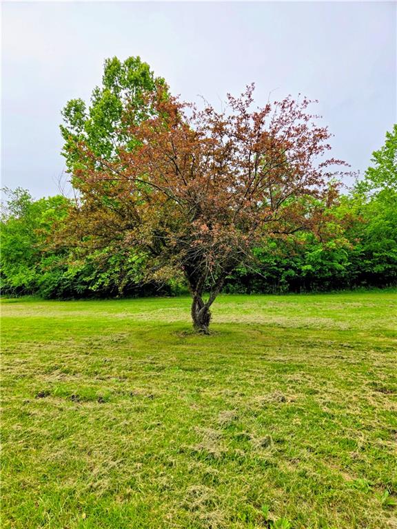 370 Nw 131 Highway Property Photo 19