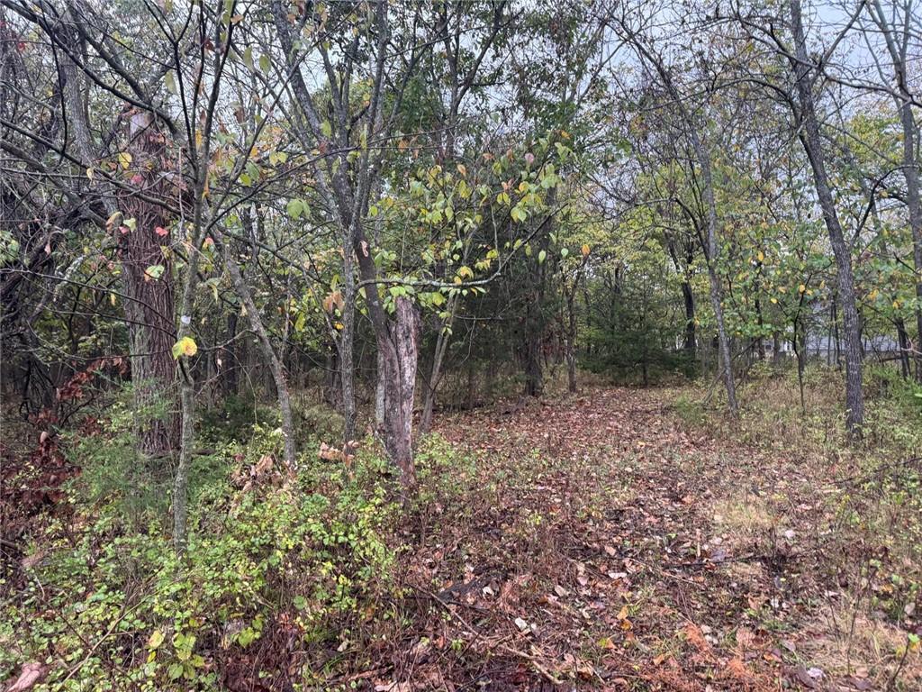 42 N Linn Valley Drive Property Photo 2