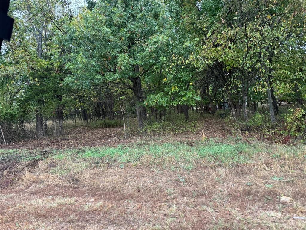 42 N Linn Valley Drive Property Photo 3