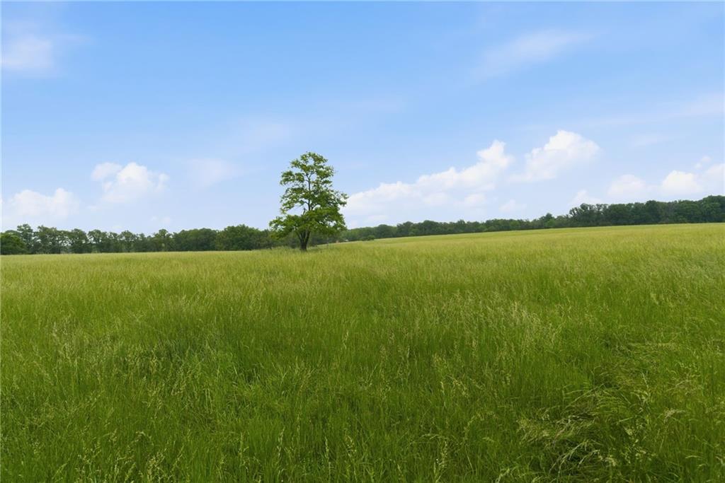 26096 E E Hwy Highway Property Photo 10
