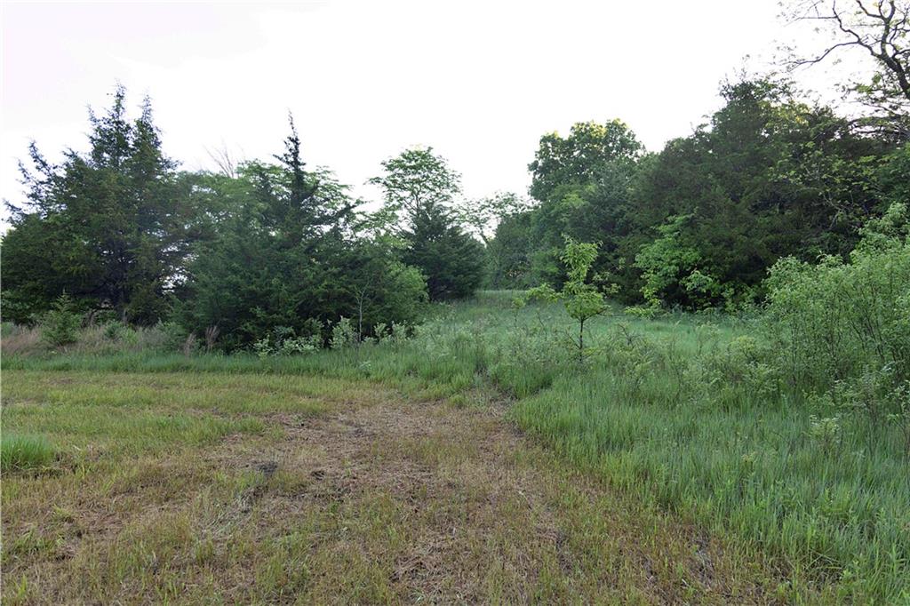 Murray Road Property Photo 22