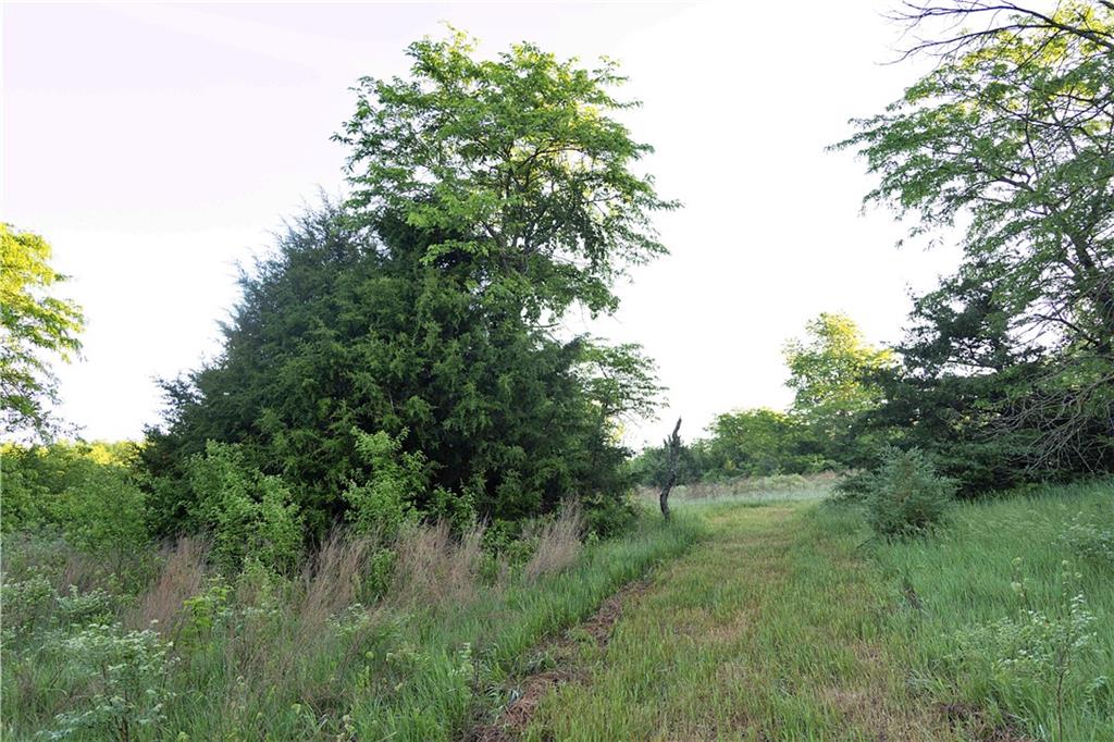 Murray Road Property Photo 23