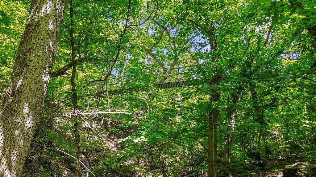 1184 Highway 3 N/a Property Photo 55