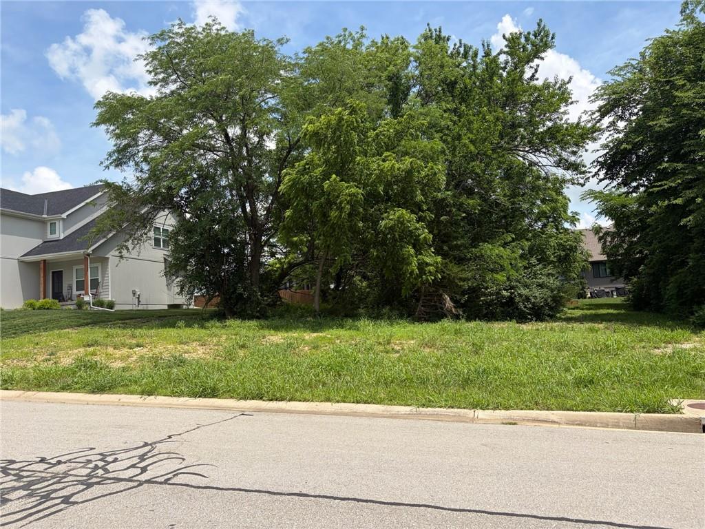 1124 S 13 Street Property Photo 2