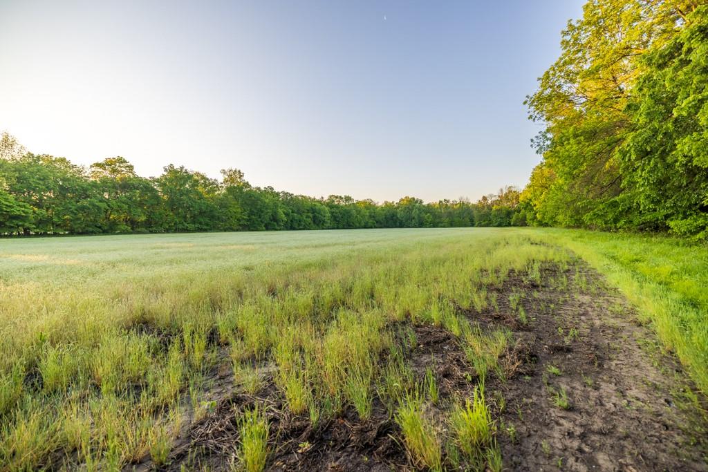 40801 E Route B Road Property Photo 51
