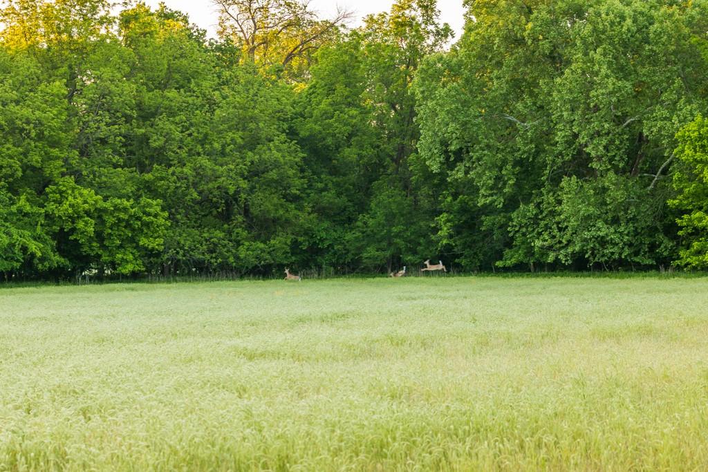 40801 E Route B Road Property Photo 25