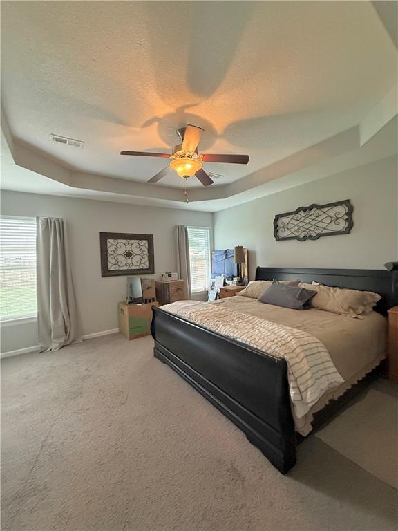 732 Iron Horse Drive Property Photo 11