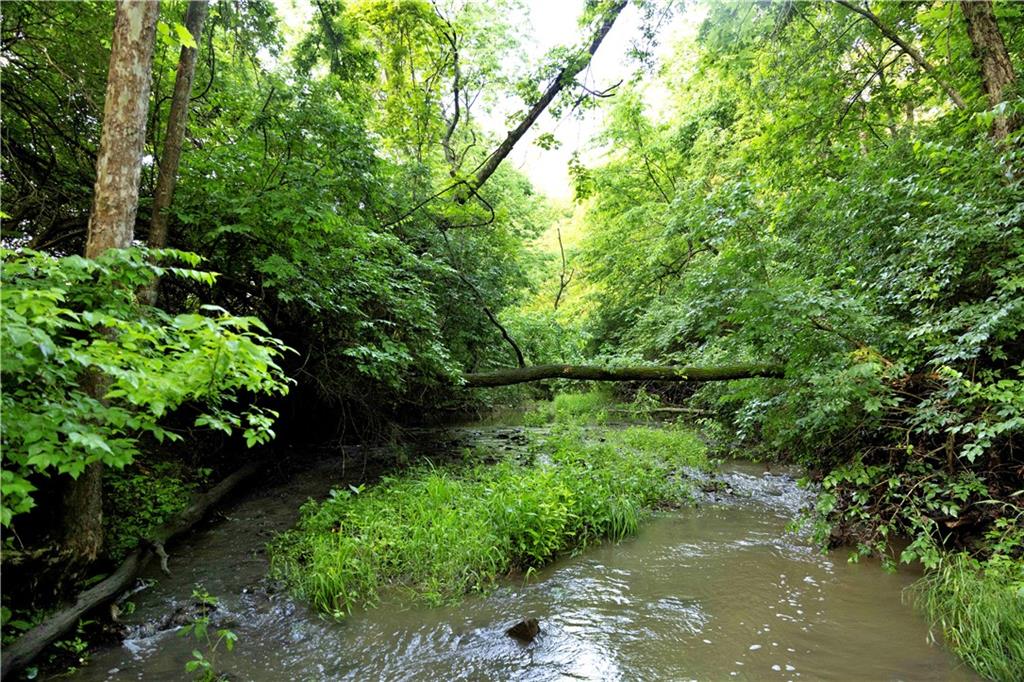 Wilderness Camp Road Property Photo 37