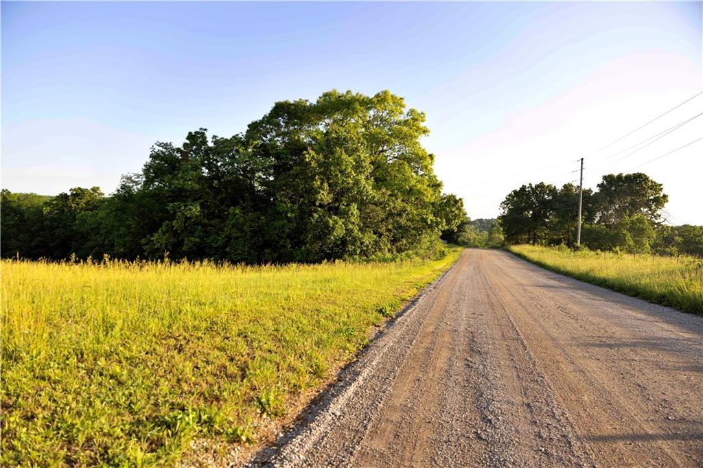 Wilderness Camp Road Property Photo 49