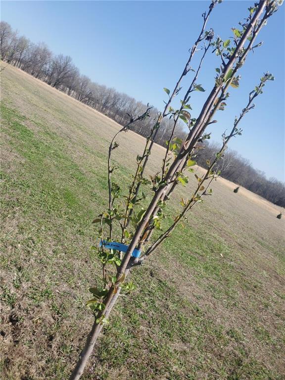 27309 E 54 Highway Property Photo 64