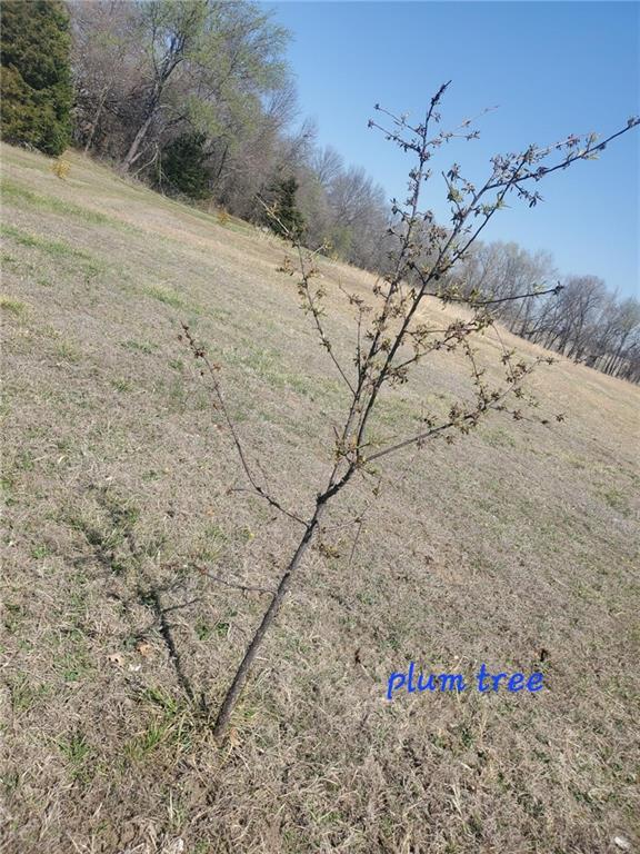 27309 E 54 Highway Property Photo 65