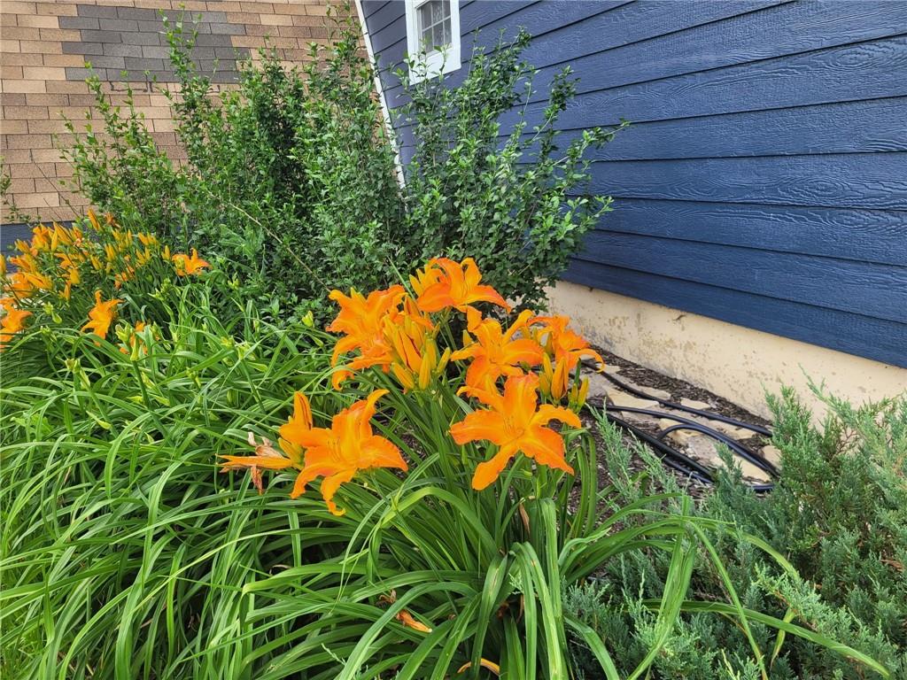 27309 E 54 Highway Property Photo 71