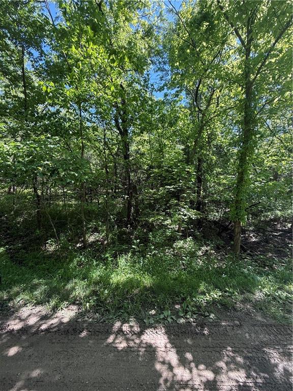 10 Scenic Lane Property Photo 1