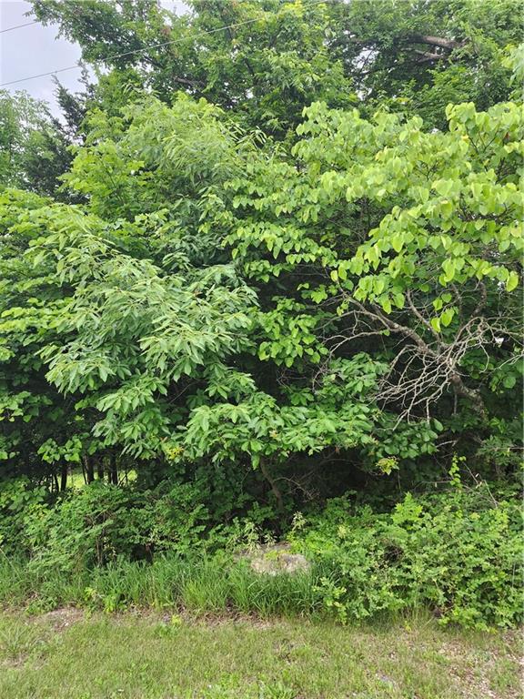 50 Ridgewood Drive Property Photo 3