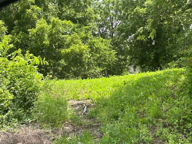 3947 Norton Avenue Property Photo 2