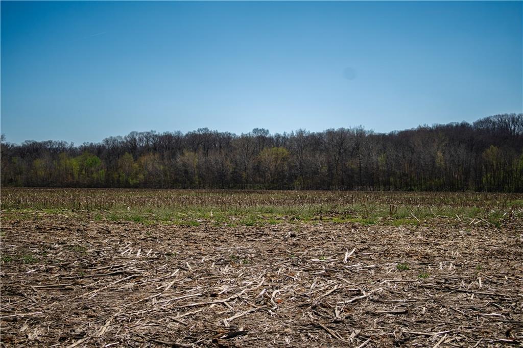 01 County Rd 538 N/a Property Photo 6