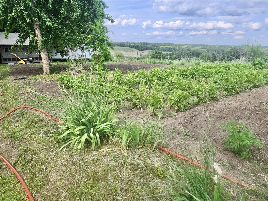 15005 D Highway Property Photo 29