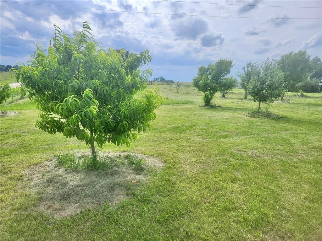 15005 D Highway Property Photo 32