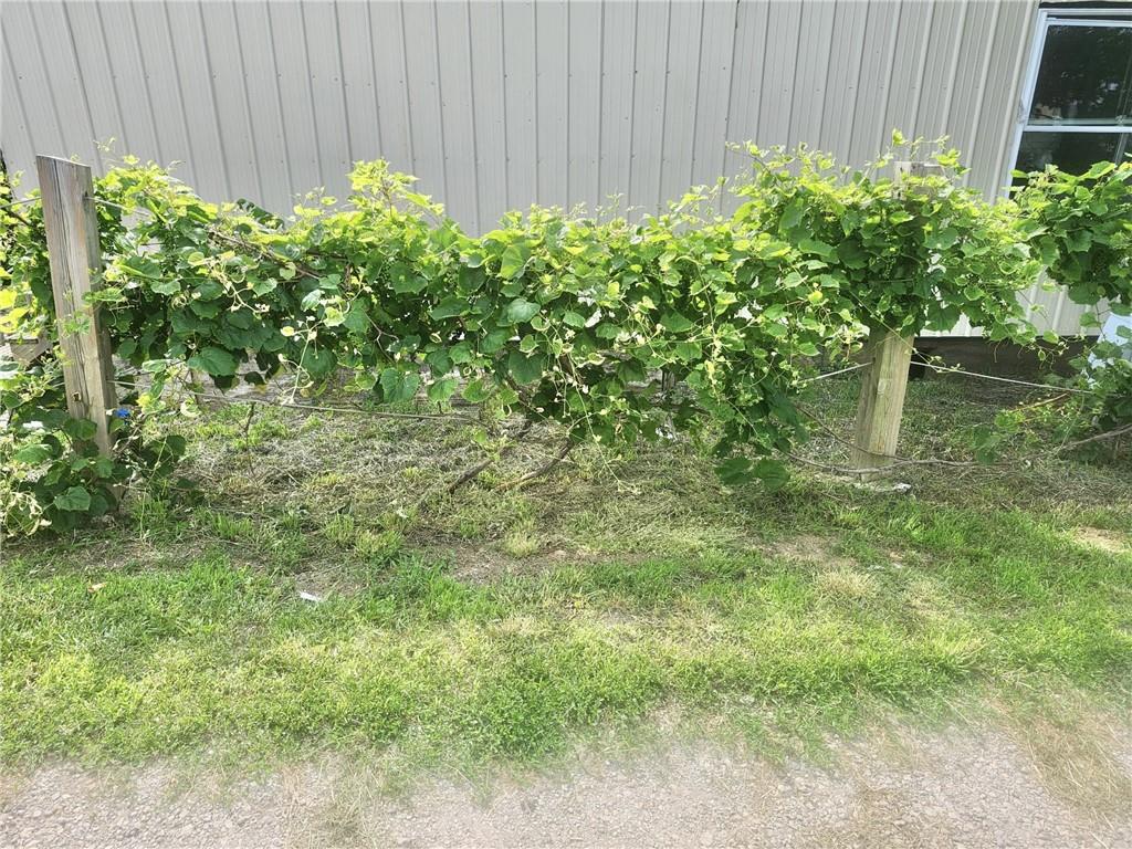 15005 D Highway Property Photo 34