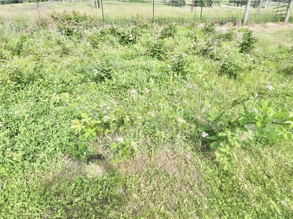 15005 D Highway Property Photo 35