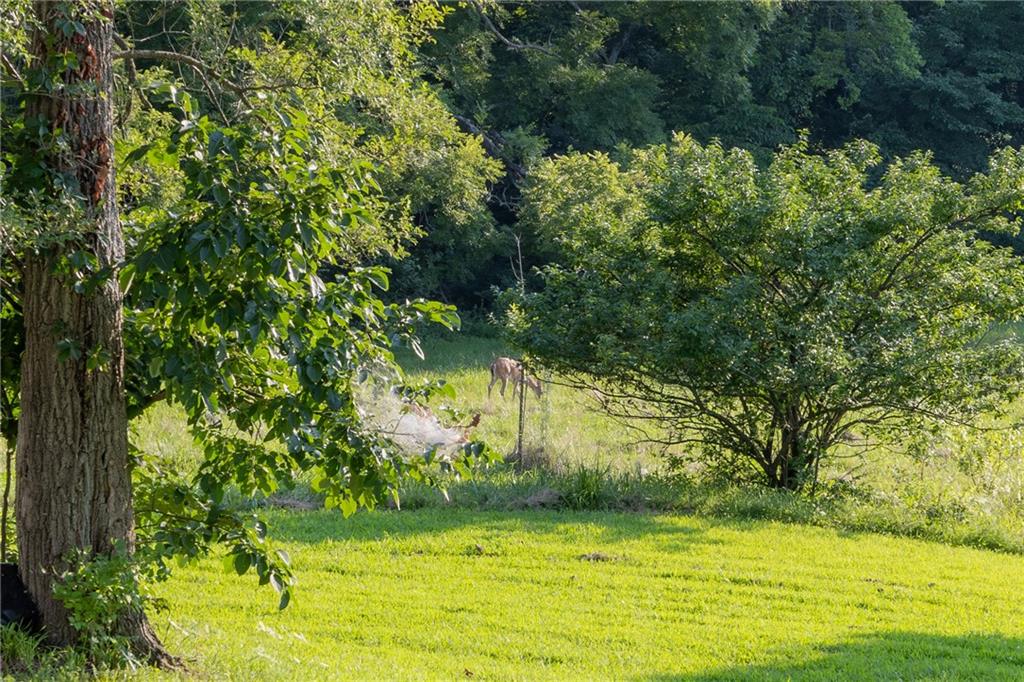 7165 Gibbs Road Property Photo 44