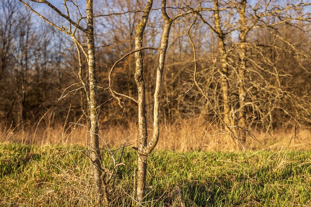 0000 State M Highway Property Photo 26