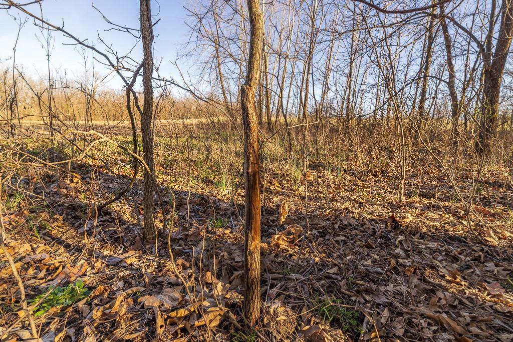 0000 State M Highway Property Photo 31