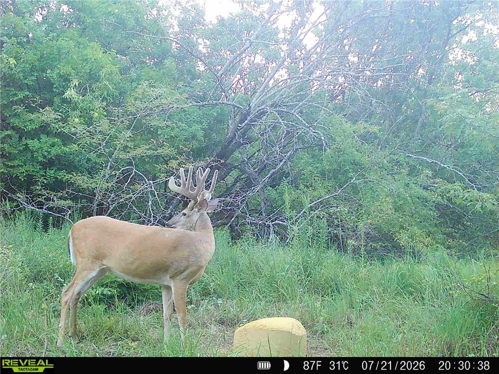 1673 17th Road Property Photo 5