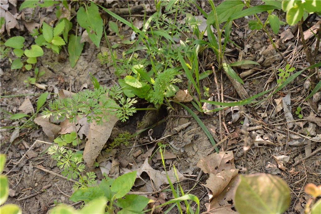 1673 17th Road Property Photo 16