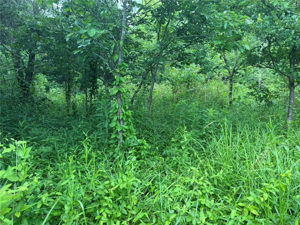 1601 Road Property Photo 6
