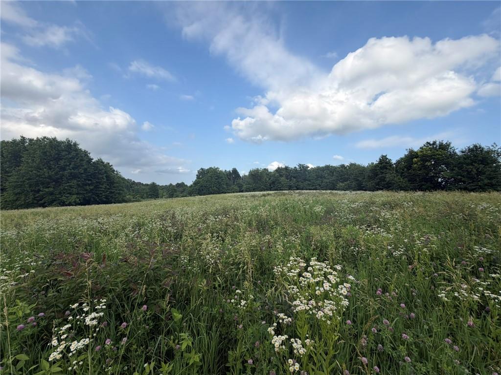 1601 Road Property Photo 16