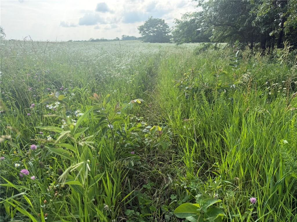 1601 Road Property Photo 18