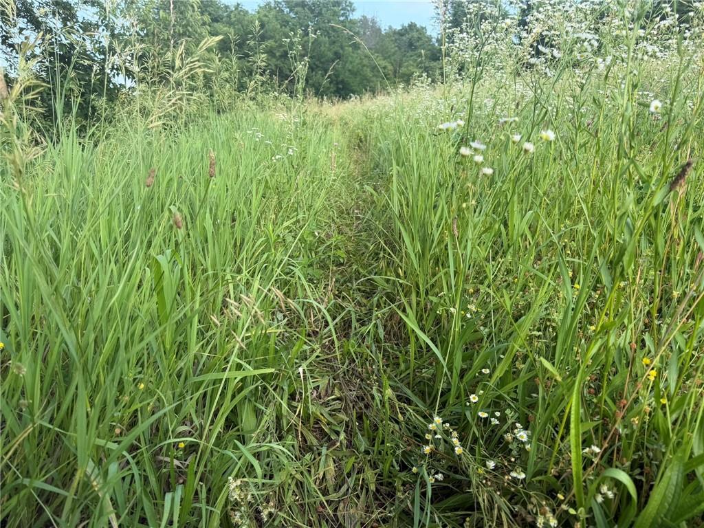1601 Road Property Photo 19