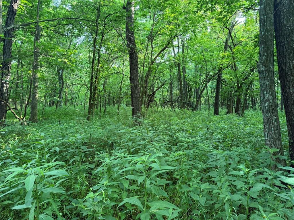 1601 Road Property Photo 31