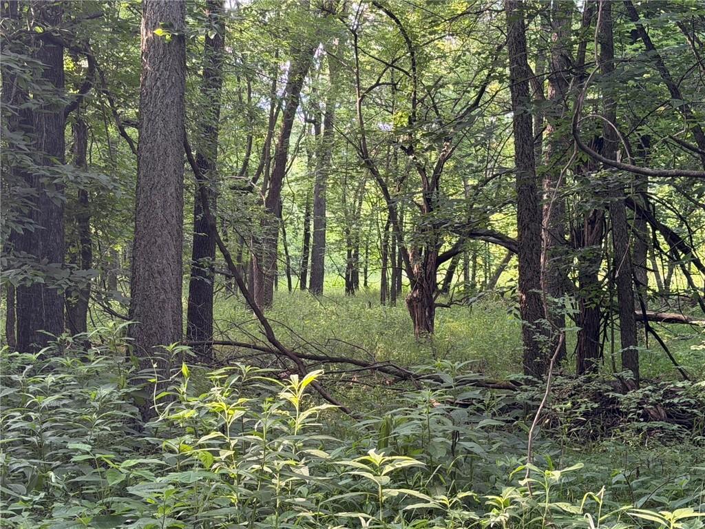 1601 Road Property Photo 32