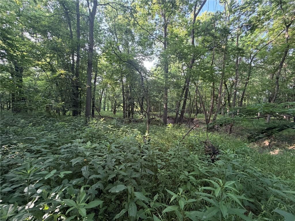 1601 Road Property Photo 33