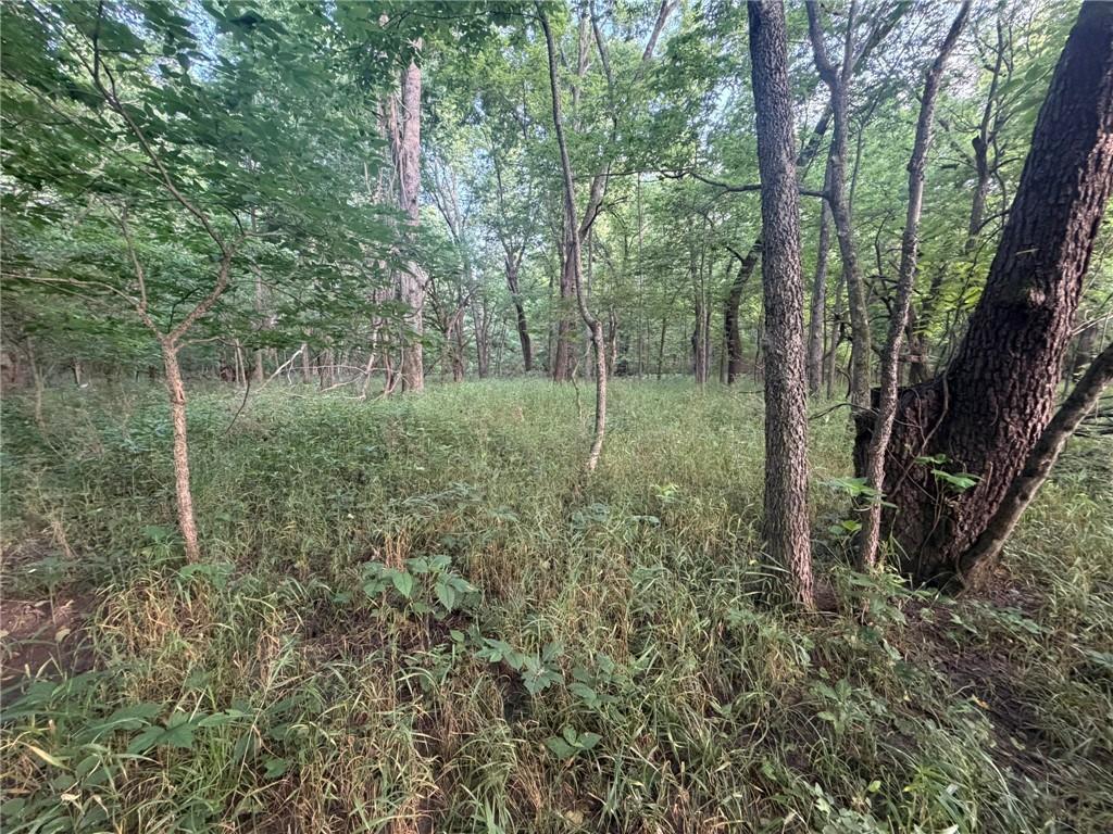 1601 Road Property Photo 41