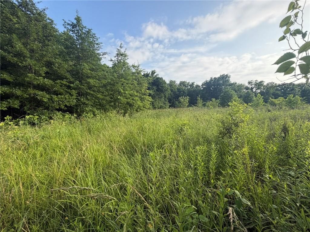 1601 Road Property Photo 44