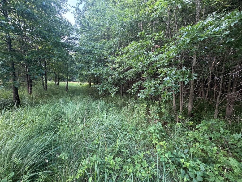 1601 Road Property Photo 46