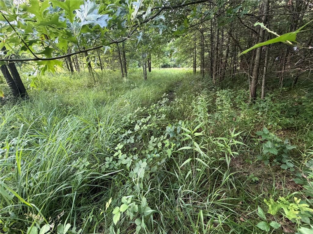 1601 Road Property Photo 47