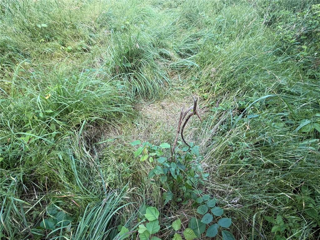 1601 Road Property Photo 51