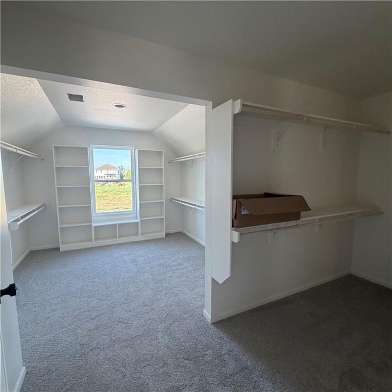2308 Foxtail Drive Property Photo 26